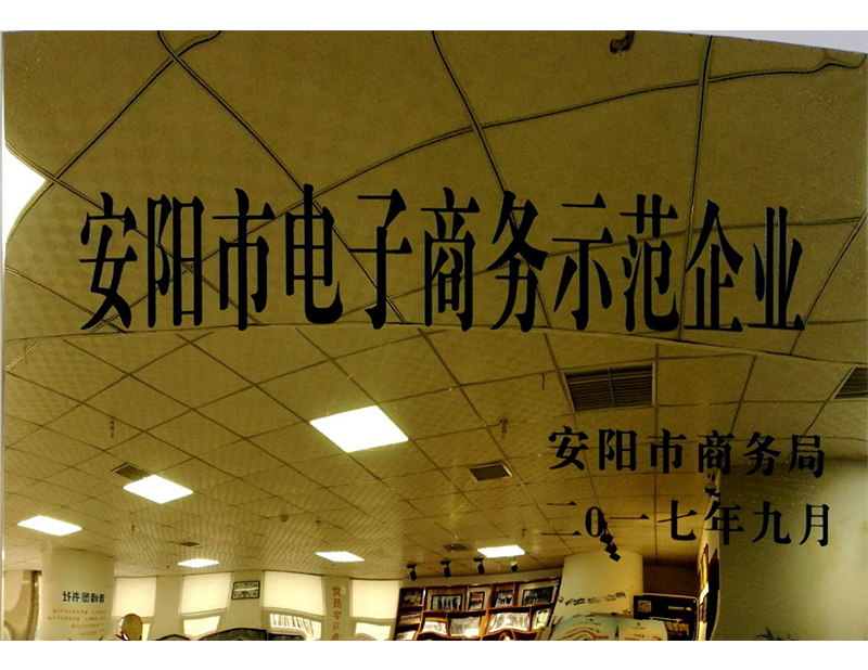安陽市電子商務示范企業